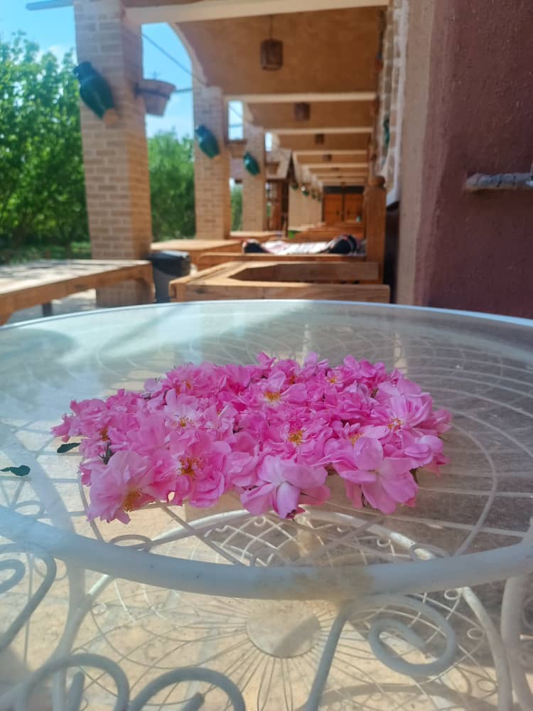نمونه شماره5