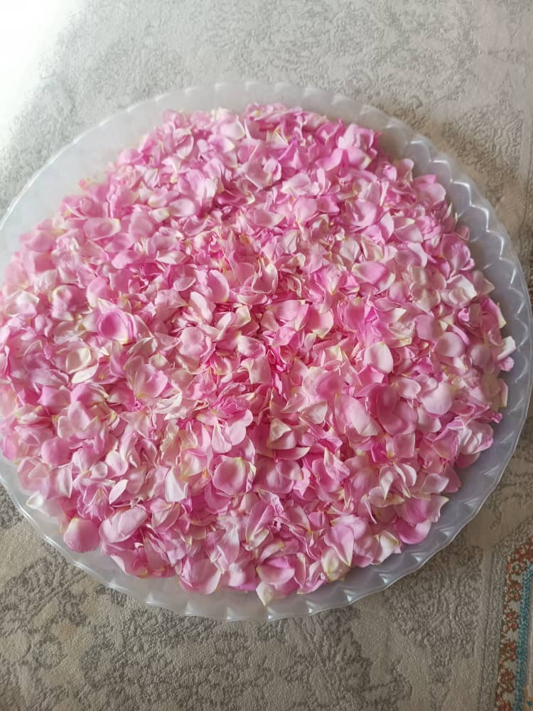 رزرو آنلاین اقامتگاه