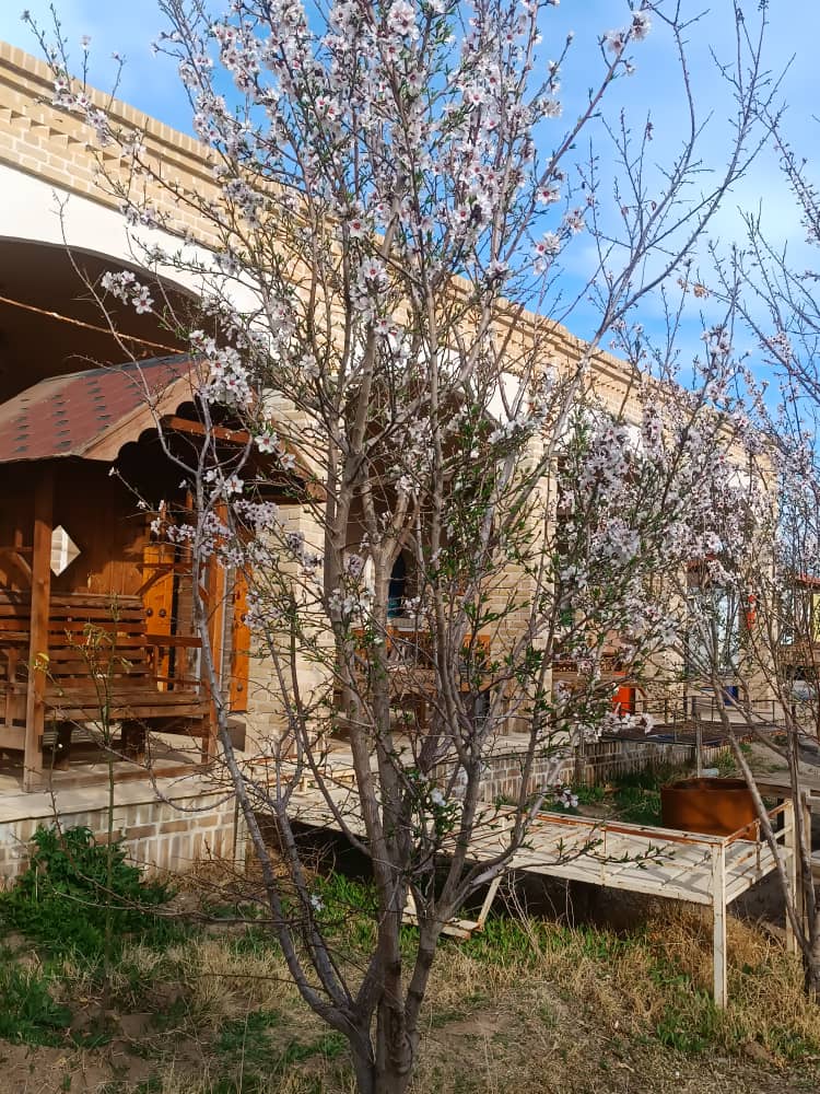 گالری تصاویر